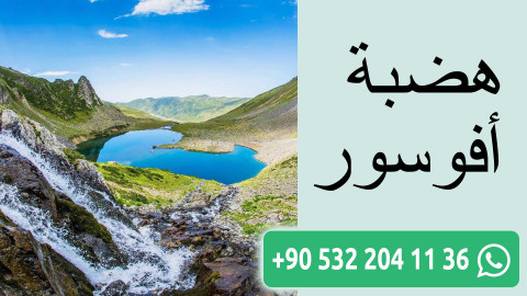 هضبة أفوسور